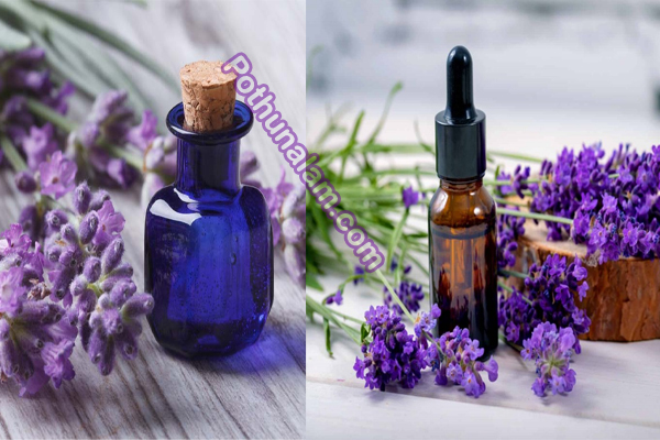 lavender oil benefits in tamil