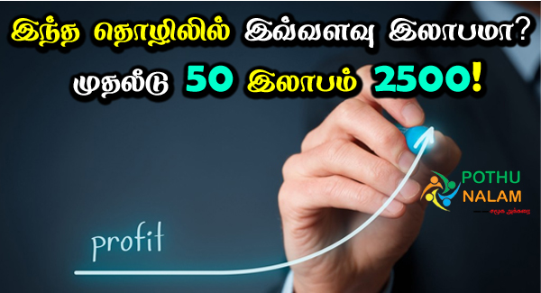 low cost business ideas with high profit in tamil