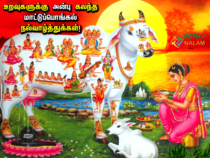 new mattu pongal wishes in tamil