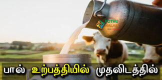 top milk production country in tamil