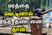tree protection legislation in tamil