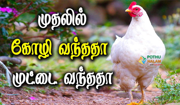 what came first egg or chicken answer in tamil