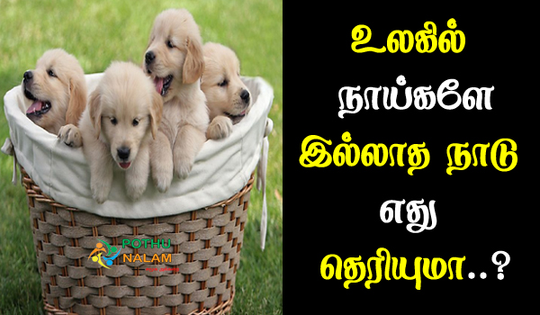 which country has no dogs in the world in tamil