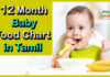 12 month baby food chart in tamil