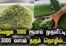 Aloe Vera Powder Business Plan in Tamil