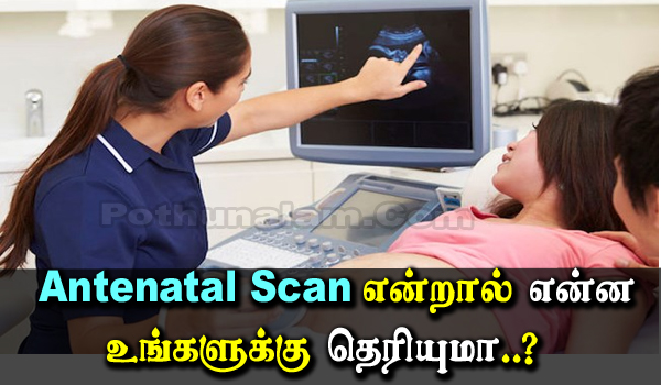 Antenatal Scan Meaning in Tamil