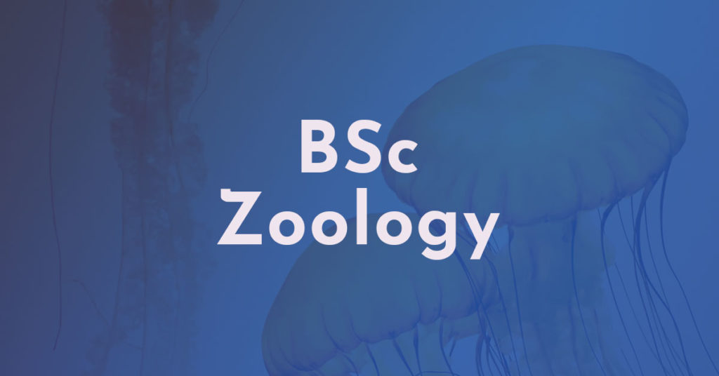B.Sc Zoology Course in Tamil