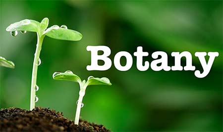 BSc Botany Course in Tamil