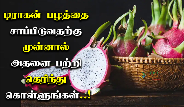 Dragon Fruit in Tamil