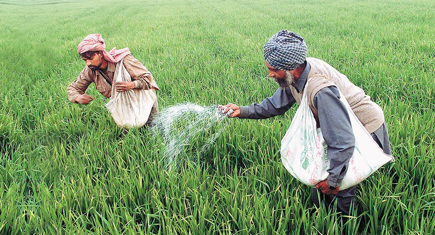 Fertilizer Subsidy Latest News