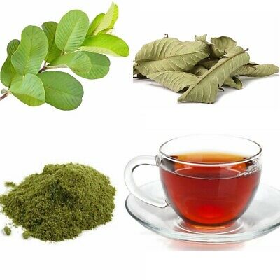 Guava Leaf Tea Powder Business Plan in Tamil