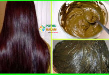 Henna Hair Pack for Hair Growth in Tamil