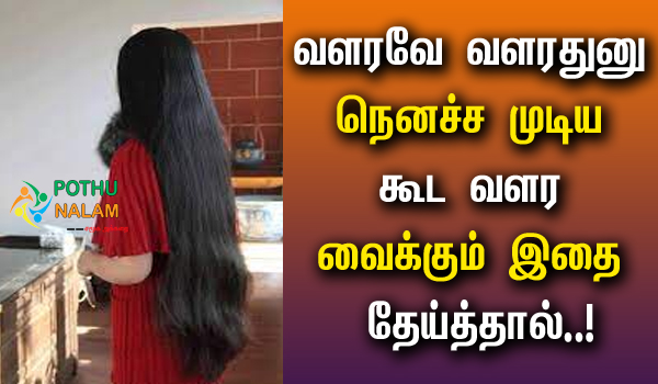 Herbal Hair Wash Powder in Tamil