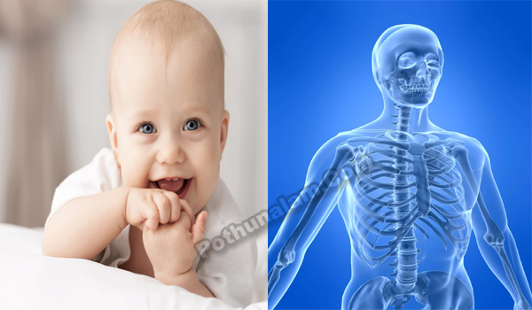 How Many Bones Have New Born Baby in Tamil 