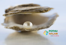 How many years does it take for an oyster to grow a pearl