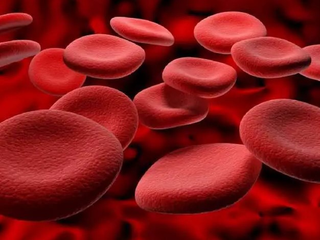 How to Increase Hemoglobin Level Quickly in Tamil