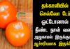 How to Store Tomatoes for Long Time in Tamil