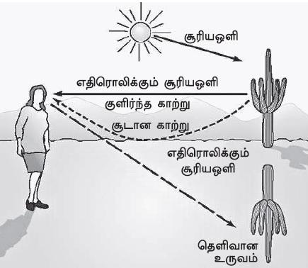 Kaanal Neer in Tamil