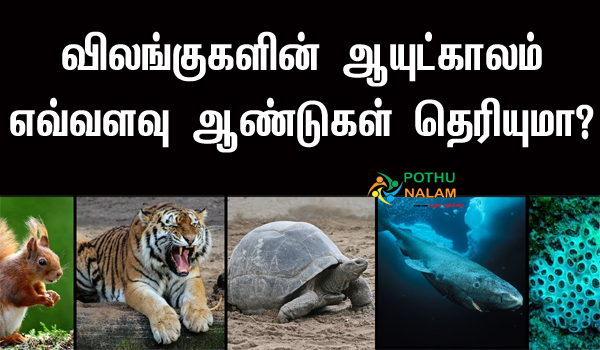 Lifespan of Animals List in Tamil