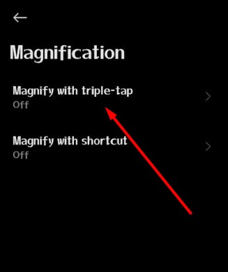 Magnify With Triple-Tap