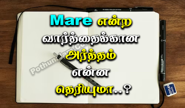 Mare Meaning in Tamil