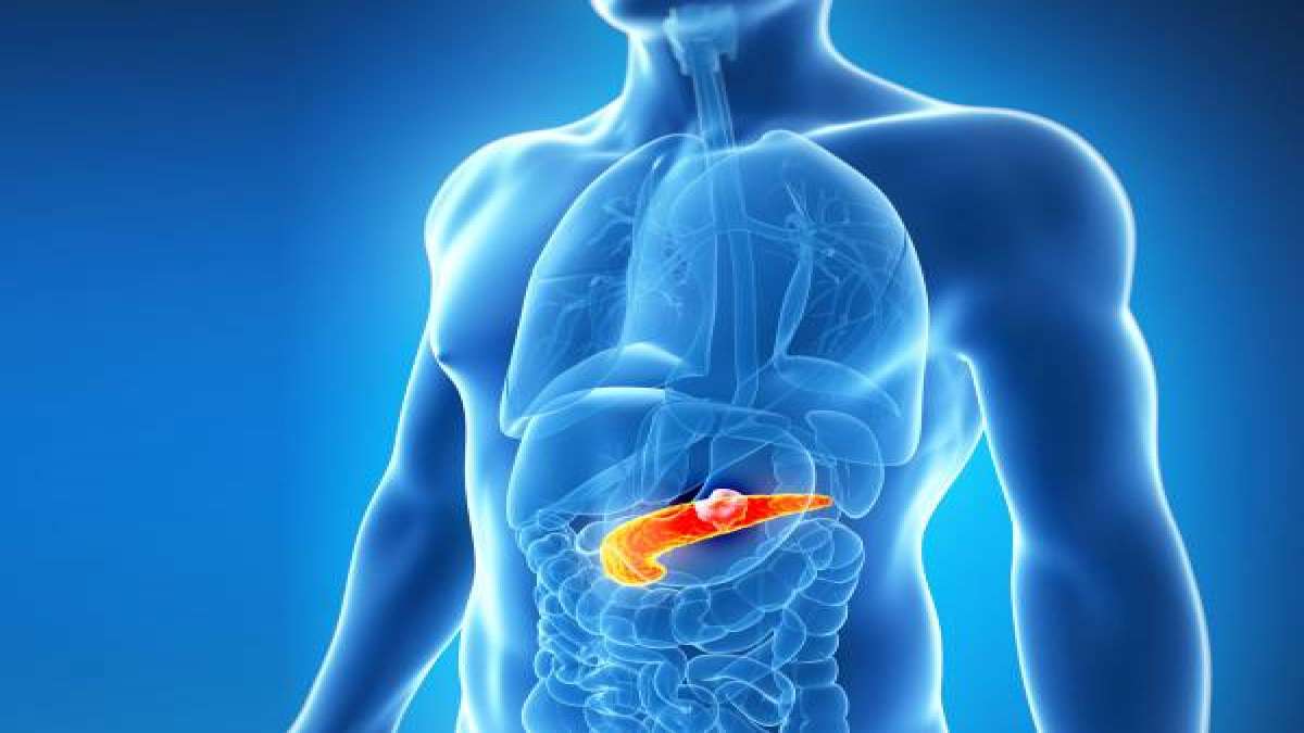 Pancreatic Cancer in Tamil