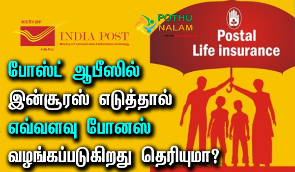 Postal Life Insurance Bonus Rate in Tamil 2023