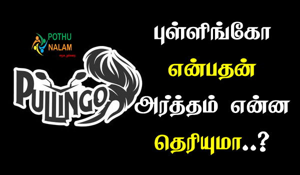 Pullingo Meaning in Tamil