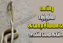 Snake Information in Tamil