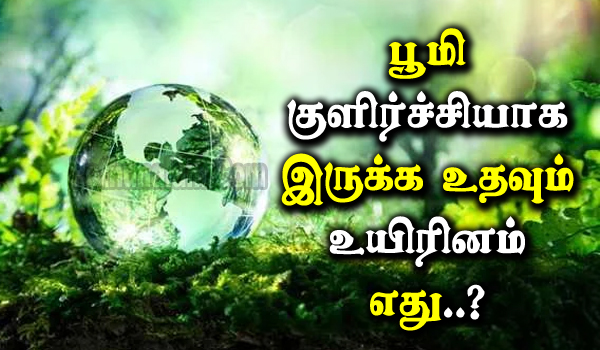 What Keeps The Earth Cool in Tamil