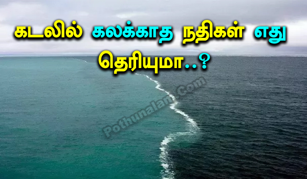 Which River Does Not Meet the Sea in India in Tamil