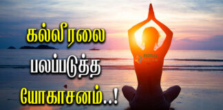 Yoga for Healthy Liver in Tamil