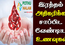 blood increase foods in tamil