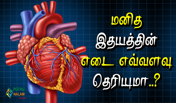 how much does a human heart weight in tamil
