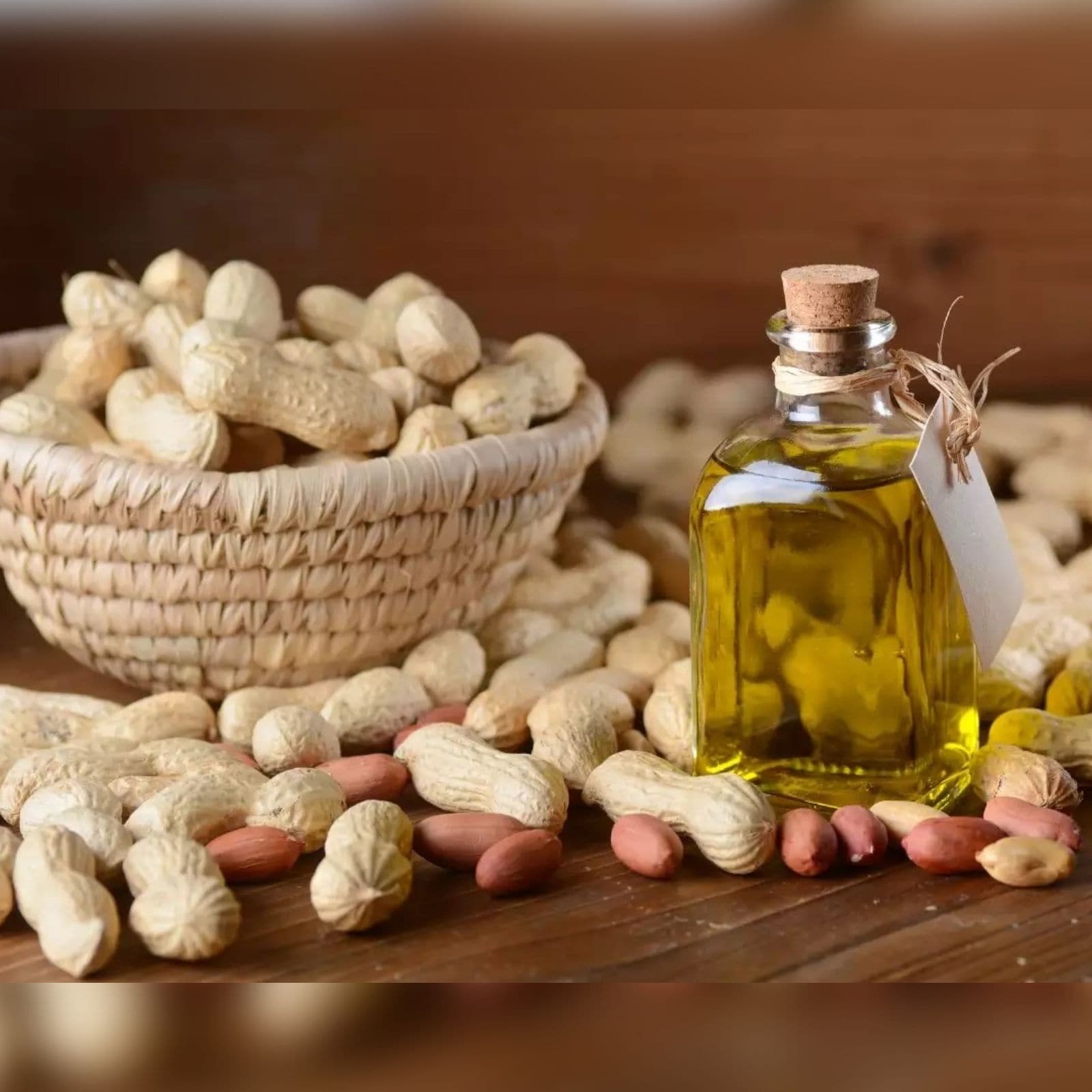 how to start groundnut oil business in tamil 
