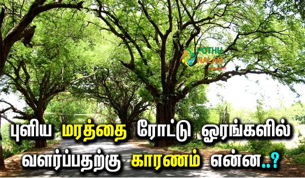 why we should not sleep under tree at night in tamil