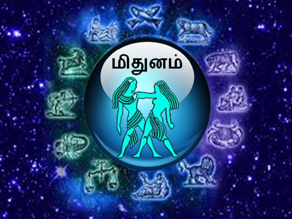 4 Raja Yoga will be Formed in Meenam after 100 Years in Tamil