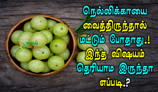 Amla Benefits in Tamil