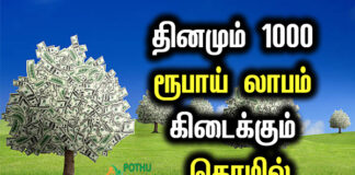 Avuri Podi Business Plan in Tamil