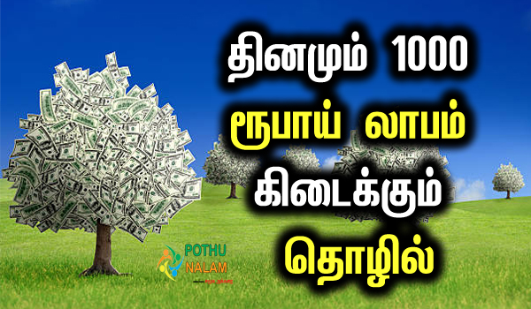 Avuri Podi Business Plan in Tamil