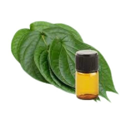 Betel leaf Oil Manufacturing Business Plan in Tamil