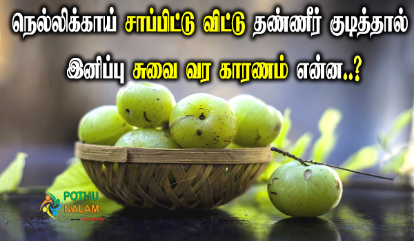 Can We Drink Water After Eating Gooseberry in Tamil