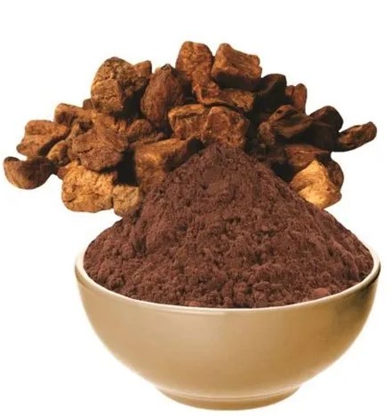 Chicory Root Powder Making Business Plan in Tamil