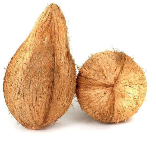 Coconut Buy Tips in Tamil