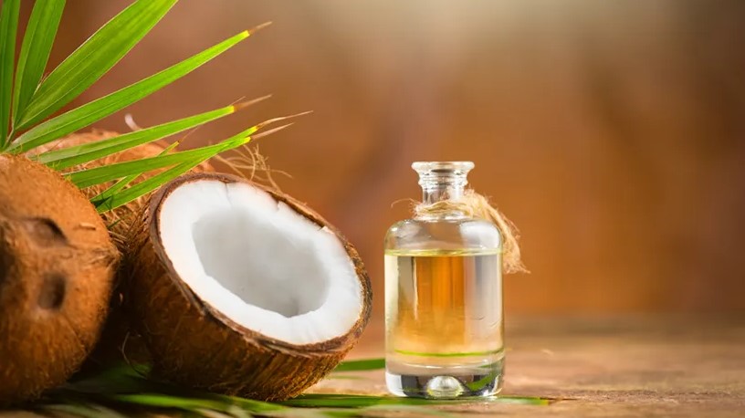 Coconut Oil Extraction Business Plan in Tamil