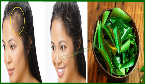 Curry Leaves Hair Growth in Tamil