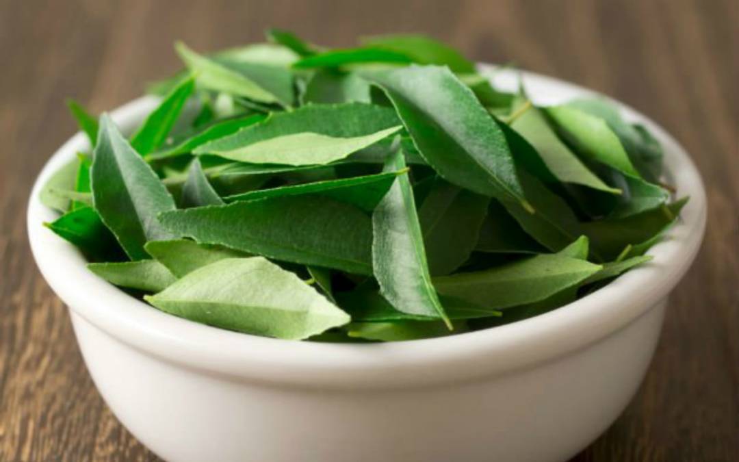 Curry Leaves in Tamil
