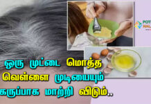 Does Applying Egg Cause White Hair in tamil