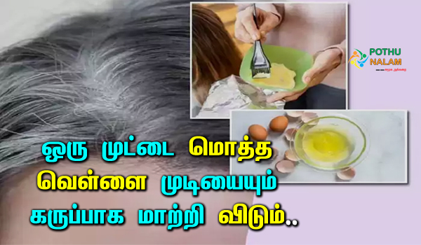 Does Applying Egg Cause White Hair in tamil