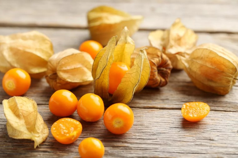 Dried Cape Gooseberry Business in Tamil